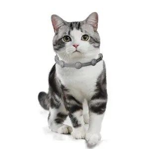 Detailansicht eines verstellbaren grauen Floh- und Zeckenhalsbandes bei einer Katze