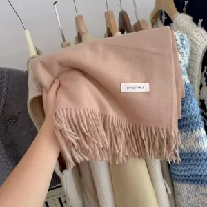 Detailed view of a soft nude pink knitted scarf featuring elegant fringe tassels