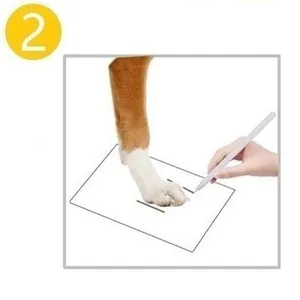 Step 2 tutorial instruction for measuring dog paw length for pet shoes and non-slip socks