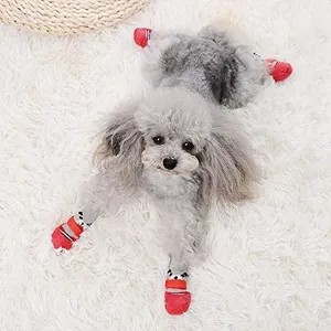 Close-up of a poodle wearing red waterproof non-slip dog socks on a soft white rug