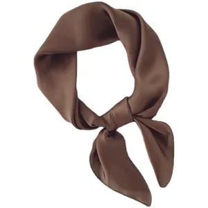 Petit foulard en satin de soie marron pour femme noué avec style et élégance