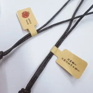 Detailed macro view of dark brown braided accessory cord featuring a kraft paper apple tag