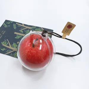 Realistic red apple hanging ornament in a clear protective sphere for Christmas decoration