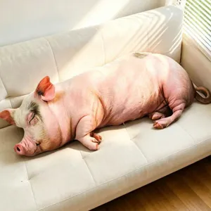 Cojín de peluche cerdo realista en sofá blanco bajo la luz del sol