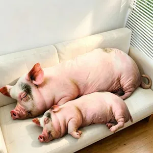 Cojines de peluche con forma de cerdo ultra realistas en un moderno sofá blanco