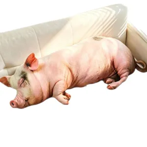 Cojín de peluche de cerdo de simulación realista, juguete suave para decoración del hogar