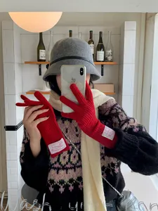 Close-up of red knitted wool gloves with stylish fabric label detail for winter warmth