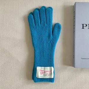 Detail of bright blue knitted wool gloves featuring a stylish white woven label.
