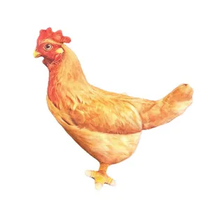 Oreiller en peluche de poule brune réaliste pour cadeau d'anniversaire drôle d'enfant