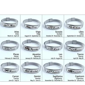 Zodiac Signs Couple Bracelet Titanium Steel Minimalist Mesh Band Bangle For Men Women Aries Gemini Leo Libra Jewelry Gift