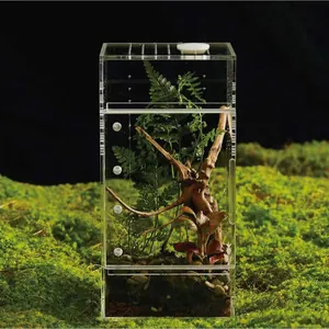 Enclos pour Reptiles en Acrylique Terrarium Transparent Anti Évasion pour Araignées Grillons Lézards Grenouilles Boîte