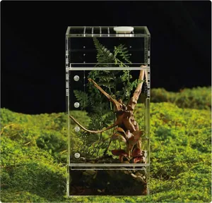 Terrarium vertical en acrylique pour araignées et insectes sur fond de mousse verte