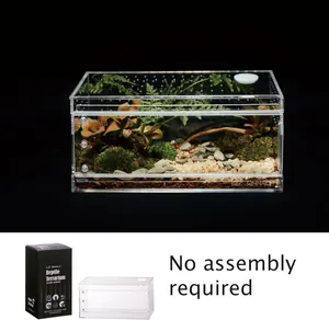 Terrarium en acrylique transparent pour reptiles, araignées et insectes sans montage