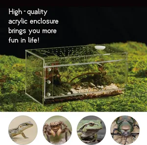 Vue détaillée des trous de ventilation et de la porte coulissante du terrarium acrylique