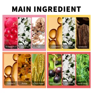 Detailed infographic showing main perfume ingredients like Jasmine, Sandalwood and Dragon Fruit
