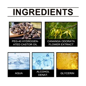 Présentation détaillée des ingrédients avec des composants d'huiles essentielles et de ricin.