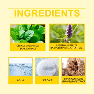 Dettaglio ingredienti del profumo di lusso con estratti di menta piperita e cedro.