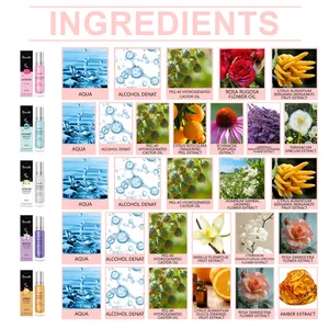 Detaillierte Inhaltsstoffliste für die Roxelis-Kollektion von fünf tragbaren Roll-on-Parfüms