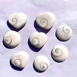 Close-up view of natural white Shiva shell heart and round pendants with spiral patterns