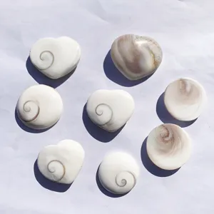 Detailed macro shot of natural spiral sea shell fossils in heart and round shapes.