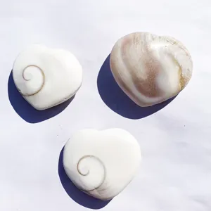 Close-up macro view of heart-shaped Shiva Eye shell fossils featuring natural spiral patterns