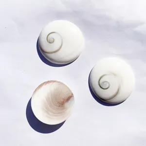 Macro detail of natural Shiva eye shell fossils for handmade DIY jewelry making pendants
