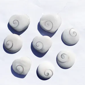 Natural Shiva Eye Shell Heart Round Charms For DIY Jewelry Making Polished Sun Shell Fossil Stone Pendants Accessories
