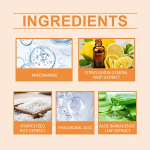 Vue détaillée des ingrédients clés : riz, niacinamide, acide hyaluronique et aloès.