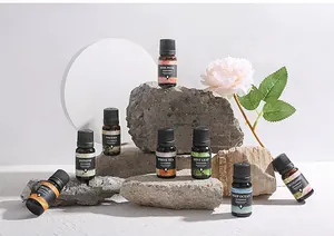 Sammlung verschiedener ätherischer Öle für Aromatherapie-Diffusoren mit Natursteinsockel