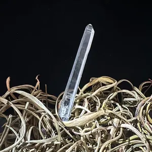 Natural Lemurian Seed Crystal Point White Quartz Healing Wand Single Pointed Laser Wand For Meditation Home Decor Gift