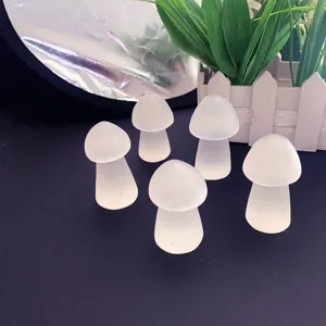 Set di 5 funghi in selenite naturale del Marocco per cristalloterapia e decorazione