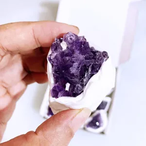 Gros plan d'un amas de cristaux d'améthyste naturelle violet foncé tenu à la main