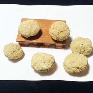 Six géodes d'agate du Maroc brutes sur fond blanc avec support en bois