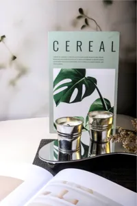 Primer plano de dos velas de aromaterapia de citronela en cubos de metal plata