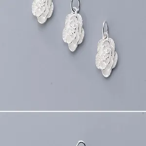 Gedetailleerde macro-weergave van S925 sterling zilveren rooshangers
