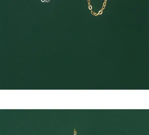 Vue détaillée des chaînes de collier en argent S925 or et argent sur fond vert