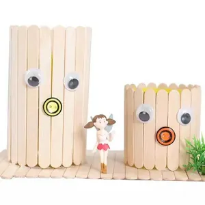 DIY wooden popsicle stick pen holder models with googly eyes and fairy figurine kit