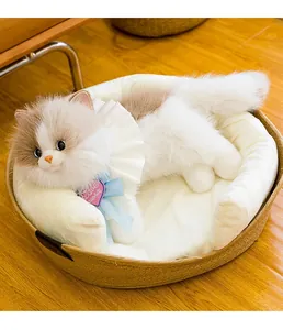Nahaufnahme einer dreifarbigen Plüschkatze mit weißem Rüschenhalsband und blauer Schleife