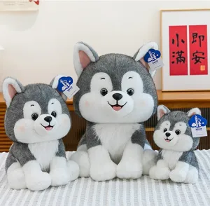 Three adorable Husky plush dog toys in varying sizes displayed in a cozy home environment.