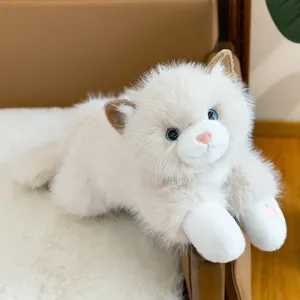 Adorable soft plush ragdoll cat toy with big blue eyes and fluffy cream fur for kids