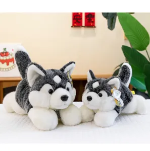 Pair of cute realistic lying Husky dog plushies in a cozy home environment gift for girls