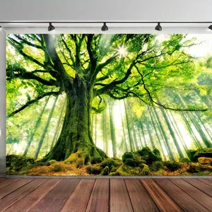 Sfondo fotografico di paesaggio boschivo con grande albero e raggi di sole vivaci.