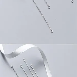 Silberschmuck Detail mit S925 Silber Verlängerungsketten und Boxketten DIY Zubehör.