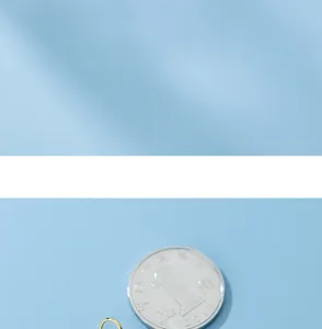 Makro-Detail eines vergoldeten S925-Silberrings neben einer Münze als Größenvergleich