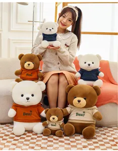 Cute plush teddy bears wearing hoodies in various sizes and colors displayed at home.