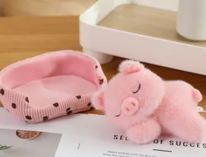 Detailansicht eines weichen, rosa schlafenden Plüschschweins auf einer Zeitschriftenseite