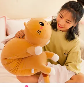 Détail de style de vie d'une peluche de chat roux douce et mignonne tenue par une femme.