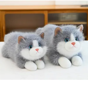 Close-up of two realistic grey and white Ragdoll cat plush toys with soft fur.