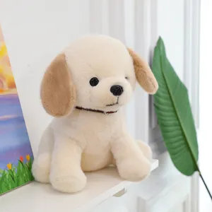 Adorable cream Labrador plush dog toy wearing a brown leather collar on a white shelf