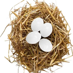 Four white DIY simulation eggs in a natural straw nest for Easter painting crafts